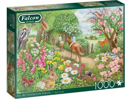 FALCON Puzzle Odpolední projížďka 1000 dílků