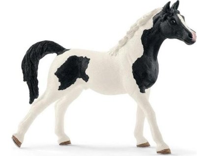 Schleich 13840 Kůň Pinto Arab - hřebec