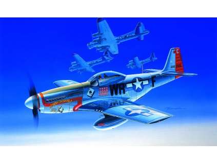 Model Kit letadlo 12485 - P-51D (1:72)