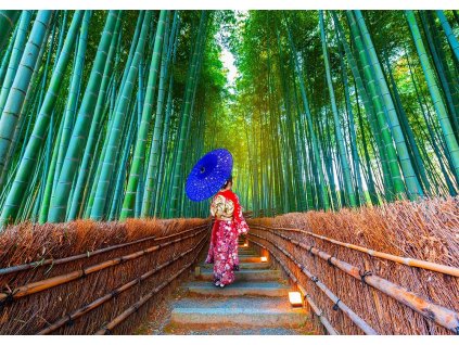 ENJOY Puzzle Asijská žena v bambusovém lese 1000 dílků