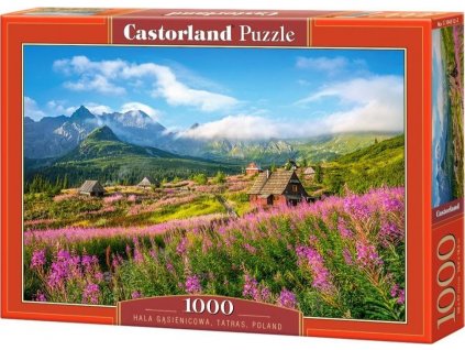 CASTORLAND Puzzle Dolina Gąsienicowa, Tatry 1000 dílků