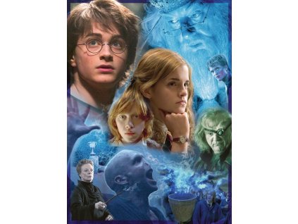 RAVENSBURGER Puzzle Harry Potter a Ohnivý pohár 500 dílků