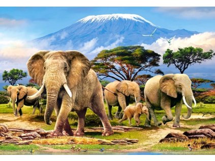 CASTORLAND Puzzle Ráno pod Kilimandžárem 1000 dílků