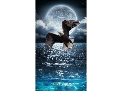 ScreenShot 20260104173139