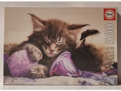 EDUCA Puzzle Společné snění 500 dílků