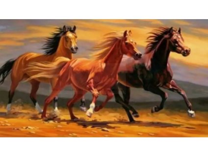 ScreenShot 20260104173655