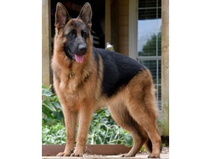 ScreenShot 20260104164135