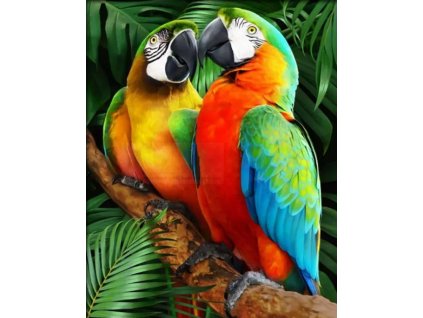 ScreenShot 20260104145548