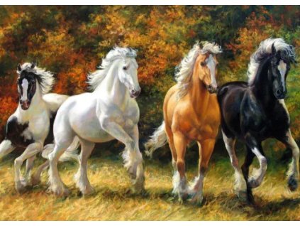 ScreenShot 20260104164909