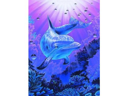 ScreenShot 20260104163827