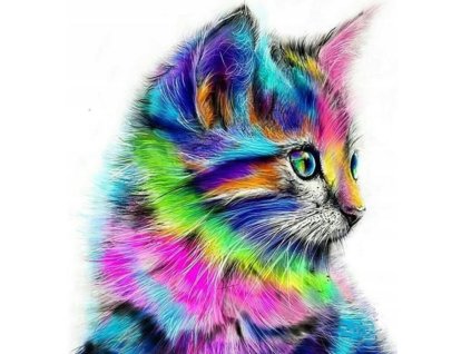 ScreenShot 20260104141346