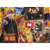 puzzle harry potter ron hermiona a harry 400 500 600 dilku (1)