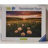 RAVENSBURGER Puzzle Pampelišky v západu slunce 500 dílků