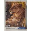 CLEMENTONI Puzzle Kočičí láska 500 dílků