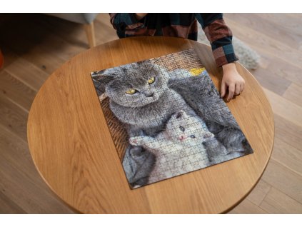 JVC 8326 puzzle