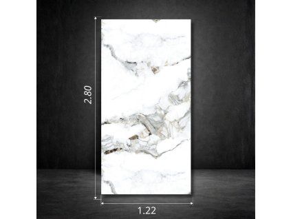 CARRA PROFIL PICTURE (3)