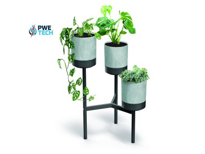 Bloomie Standt IKD3L 422U roslina