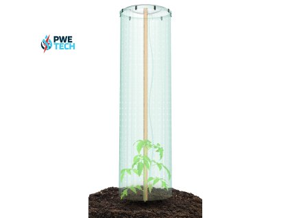 Tomato Grower Cap IPOC400 roslina 01