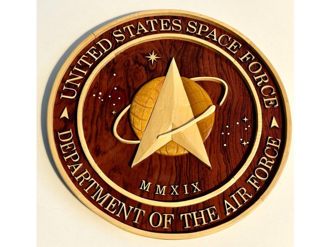 United States Space Force Wood Plaque 11 3/4