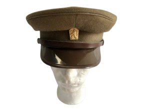Brigadýrka ČSLA