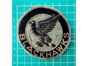 1st Squadron, 1st Cavalry Blackhawks