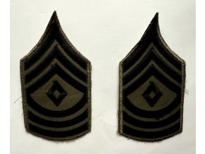 First Sergeant (E-8) B/G