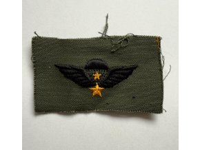 Original ARVN Senior Jump Wings Patch (Vietnam) | US Made | NOS