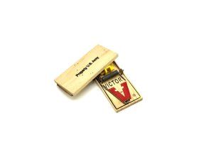 Original US Army Mausefalle | Victor | Property U.S. Army (NOS)