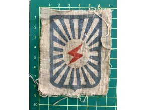 Printed patch ARVN 21st Division