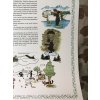13452 6 1 10 sfga order of the green beret certifikat