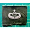 16518 1 senior parachutist badge