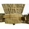 Eagle Industries DPC Assault Plate Carrier - Multicam