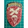 US WW2 AIRBORNE COMMAND PATCH