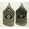First Sergeant (E-8) B/G