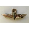 USMC Master Jump badge