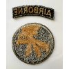 17th Airborne Division Patch
