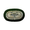11th Airborne 511th Paratrooper Regiment Oval with Jump Wings