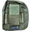 London Bridge LBT-0250 Old Gen Gold Lion Medical IFAK E&E GP - Silver Tag