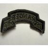 Original 75th Ranger Regiment Scroll Patch | Subdued | 1980s