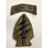 Original US Army Special Forces Patch w/ Airborne Tab (Vietnam) | Subdued