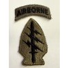 Original US Army Special Forces Patch w/ Airborne Tab (Vietnam) | Subdued