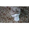 4458 1 cepice cover garrison marpat desert navy