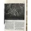7257 2 fm 31 35 jungle operations 1969