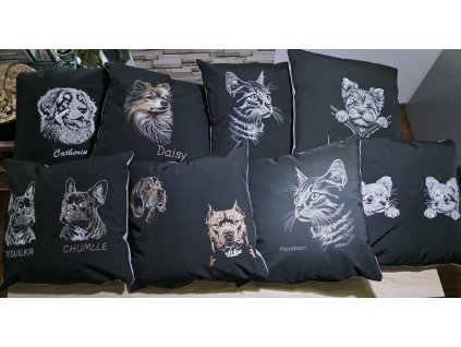 20251125 080216 resized