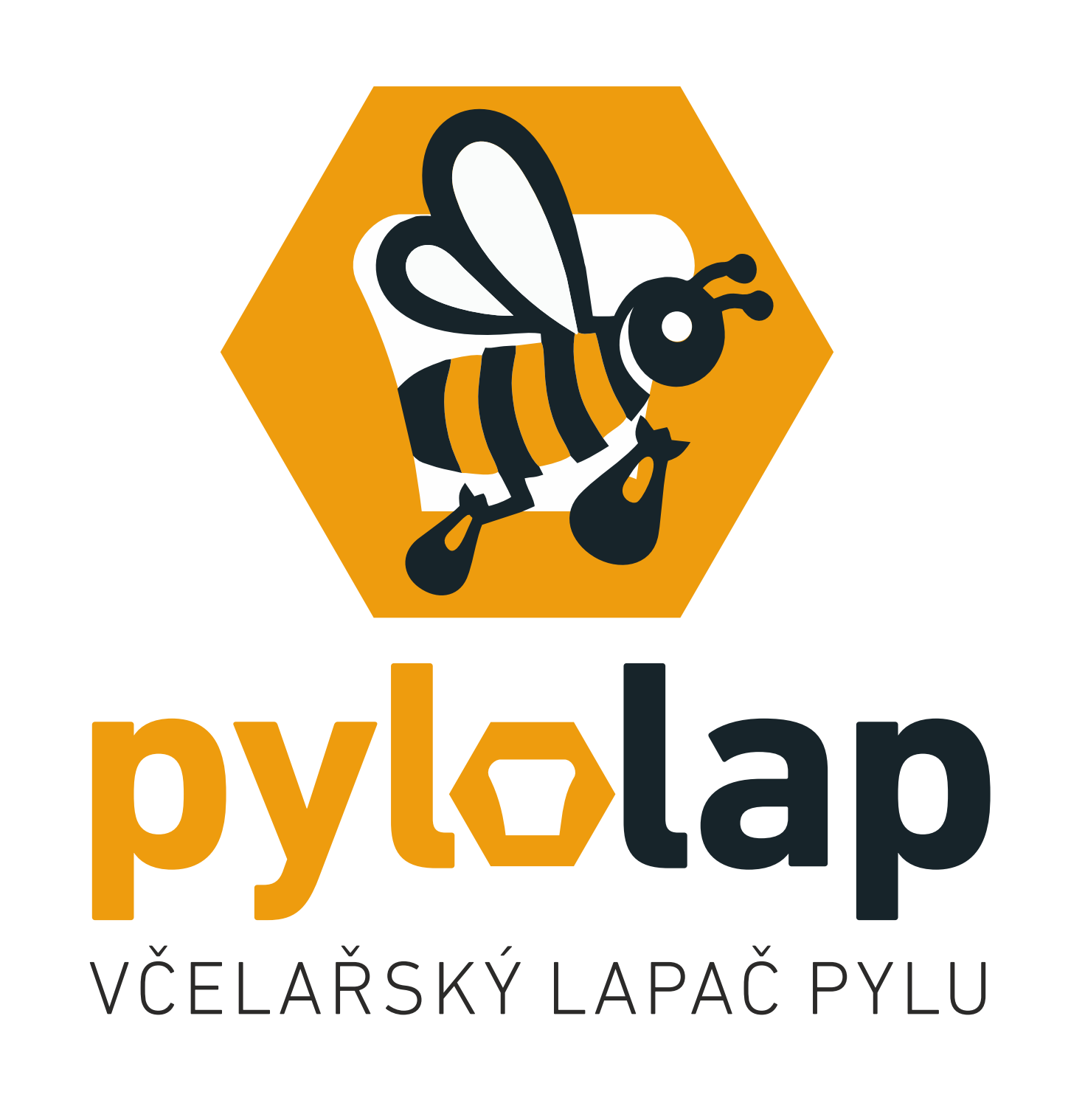 Pylolap