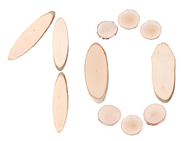 TOP 10 fafajta az égetéshez