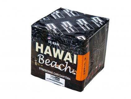 hawai beach 16 ran 2