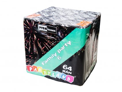 family party 6