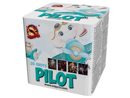 Pilot 3D