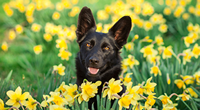 Jarní dny sleva 15 %